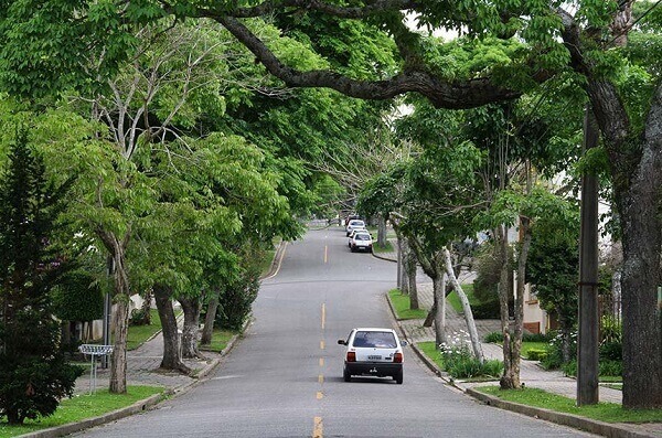 Arborização Urbana